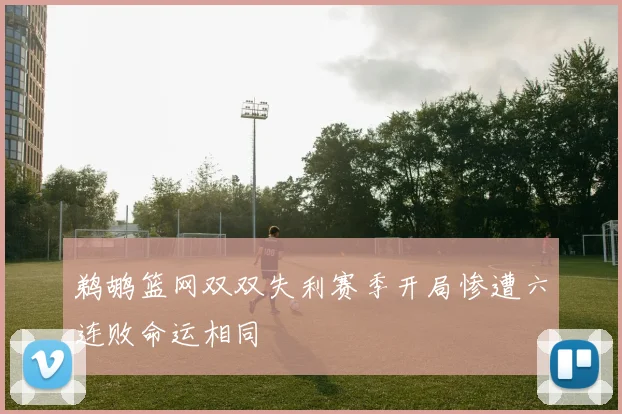 鹈鹕篮网双双失利赛季开局惨遭六连败命运相同
