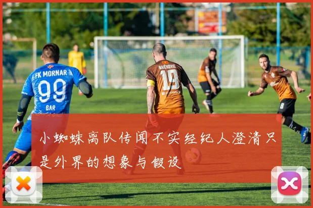 小蜘蛛离队传闻不实经纪人澄清只是外界的想象与假设