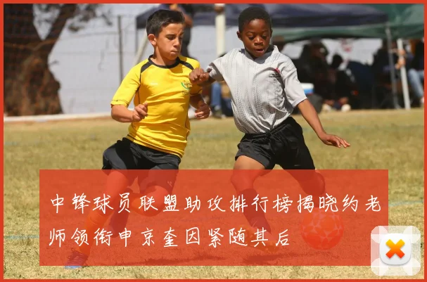 中锋球员联盟助攻排行榜揭晓约老师领衔申京奎因紧随其后