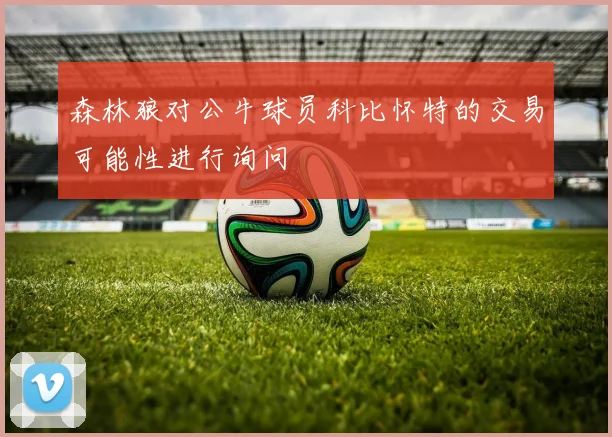 森林狼对公牛球员科比怀特的交易可能性进行询问