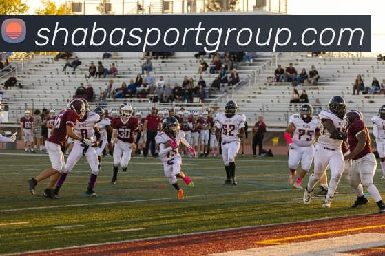 沙巴足球官网平台生态图